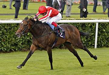 ARDAD (Frankie Dettori) beats THE LAST LION (right) in The Pepsi Max Flying Childers Stakes Doncaster 9 Sep 2016 - Pic Steven Cargill / Racingfotos.com

THIS IMAGE IS SOURCED FROM AND MUST BE BYLINED "RACINGFOTOS.COM"