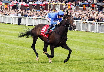 Jack Hobbs and William Buick winning "The Dubai Duty Free Irish Derby" at the Curragh - Alain Barr 27.06.2015