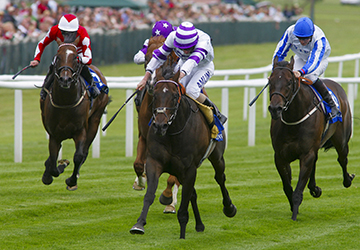 Newbury  18/7/09.
Shadwell Stakes.
Won by No2 High Standing - Ryan Moore.