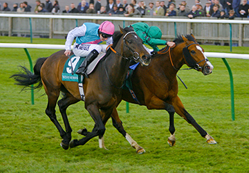 Questioning William Buick wins from Twice Over - Tom Queally
The Weatherbys Earl of Sefton Stakes
Newmarket
The Craven Meeting 19/4/2012
©Pic Mark Cranham