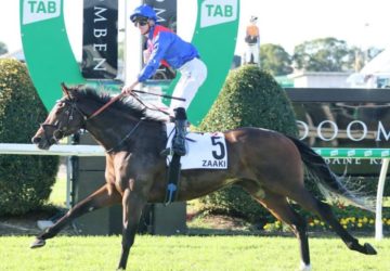 Zaaki Doomben Cup