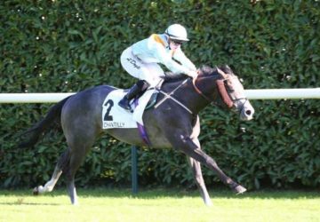 Eddie's Boy Prix Eclipse