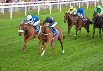 PURCH Swingalong Lowther Stakes