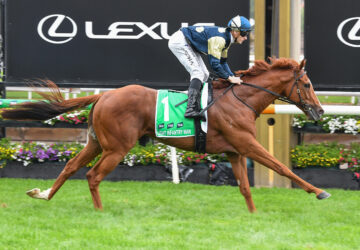 Light Infantry Man (FR) ridden by Ethan Brown wins the TAB Australian Cup at Flemington Racecourse on March 29, 2025 in Flemington, Australia. (Photo by Brett Holburt/Racing Photos)