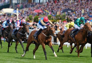 Shareholder Norfolk Stakes